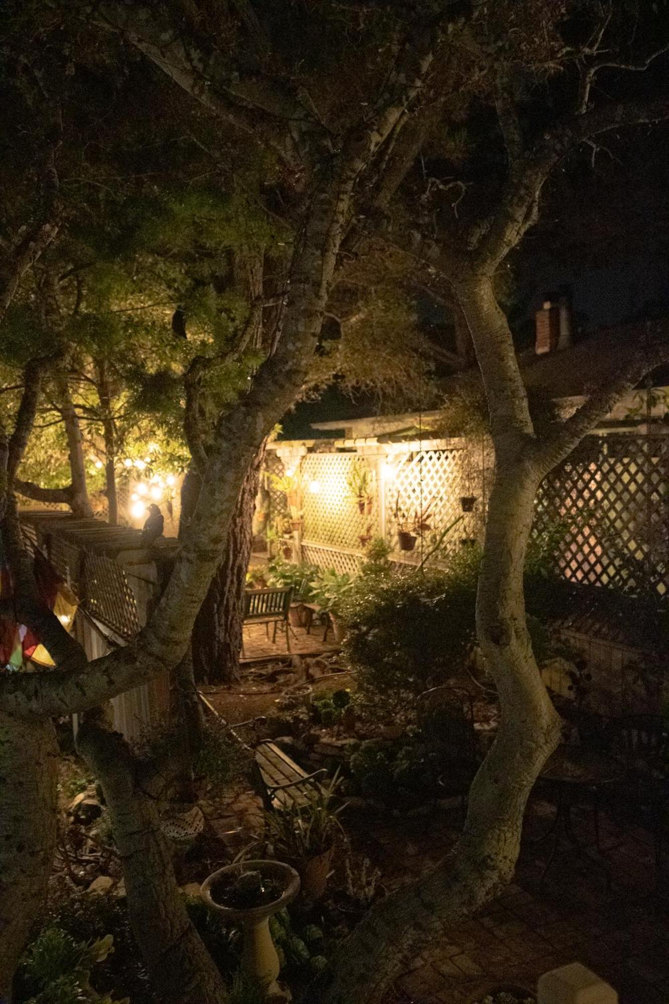カーメル ガーデン イン Carmel-by-the-Sea エクステリア 写真